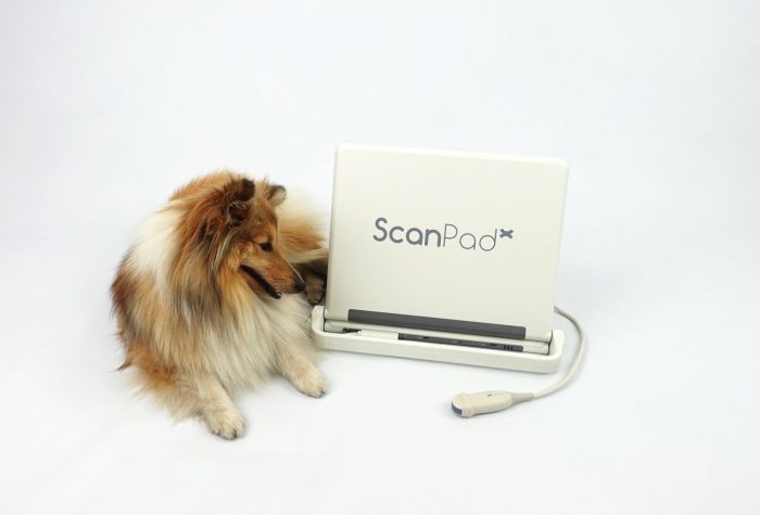 ScanPad small animal machine